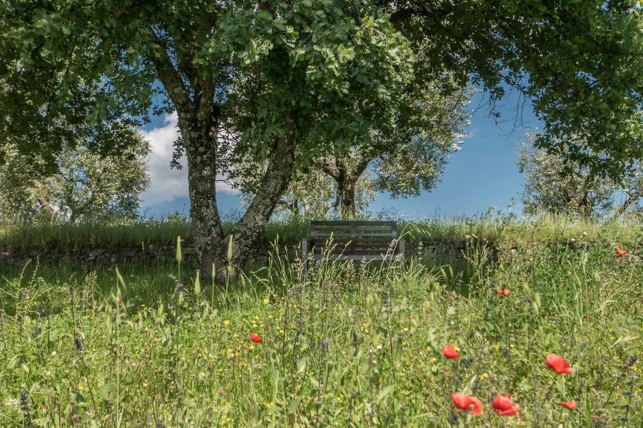 Podere San Martino Montevettolini 0*,