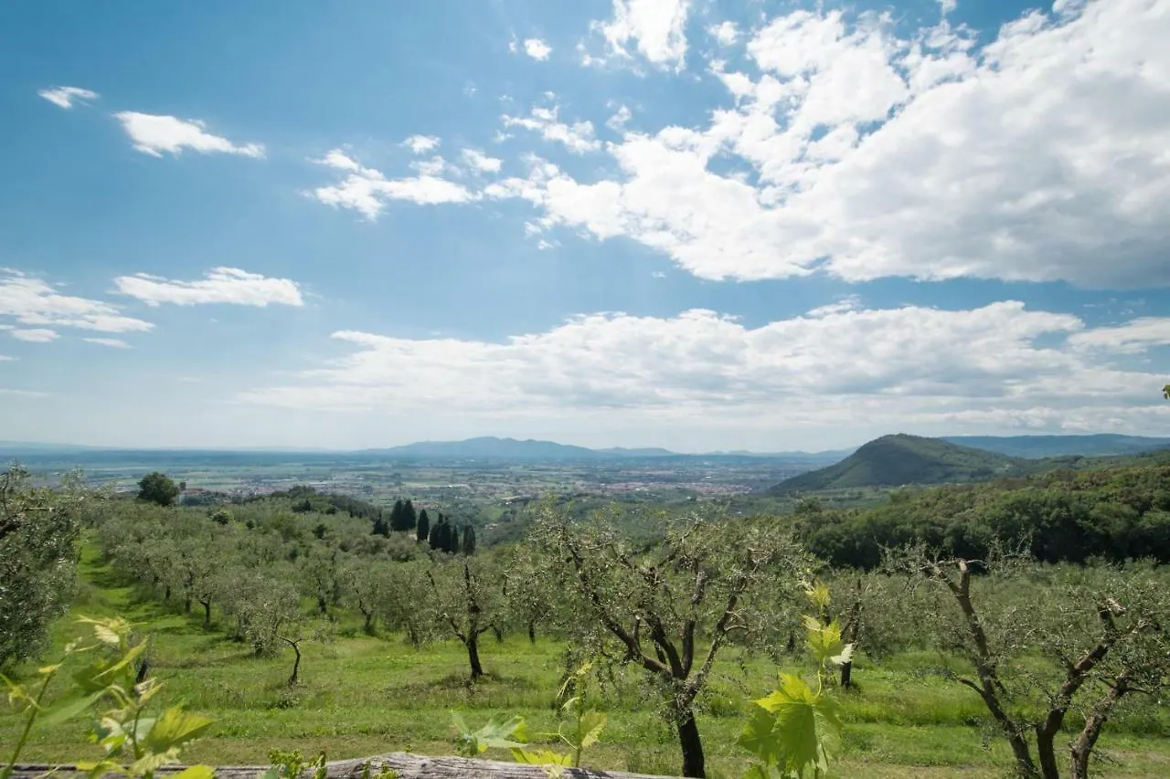 Podere San Martino Montevettolini Holiday home
